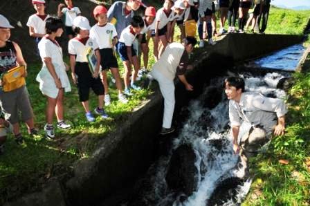 芝川のり養殖実験の様子1
