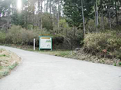 林道