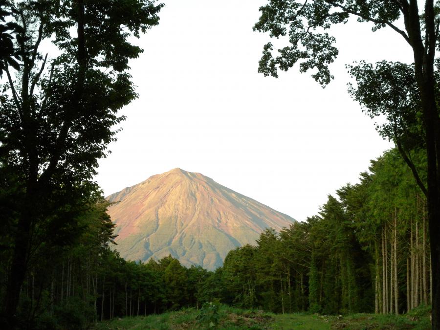 山宮浅間神社総代会