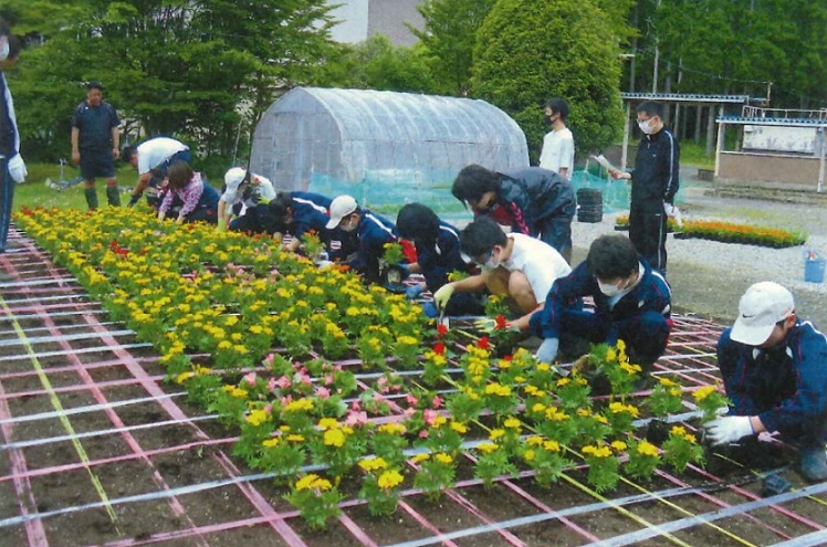 小中学校の緑化活動の様子2