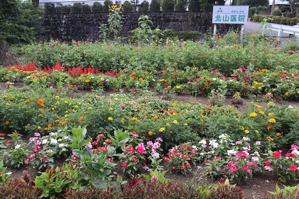 4奨励賞　北山医院花の会