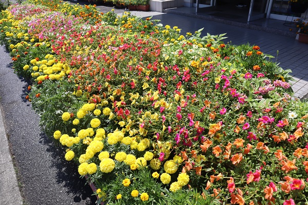 9最優秀賞(教育長賞)内房小学校