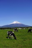 DSC09152_rs.jpg
