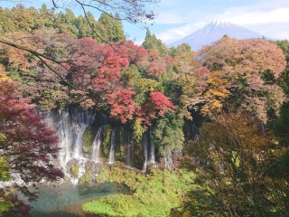 Shiraito no Taki Falls and Mount Fuji　