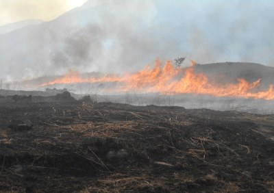 根原地区火入れ(2019春)