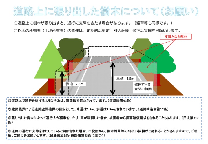 張り出し樹木についての概要