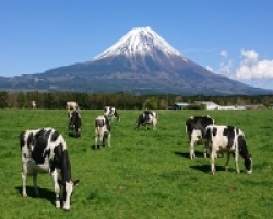 Asagiri Kogen Plateau