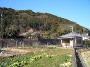 吉野本家遠景