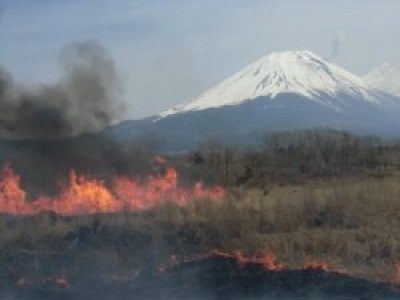 春の火入れの様子